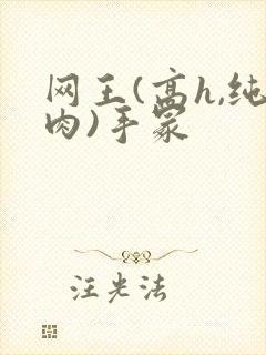 网王(高h,纯肉)手冢