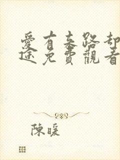 爱有来路却无归途免费观看