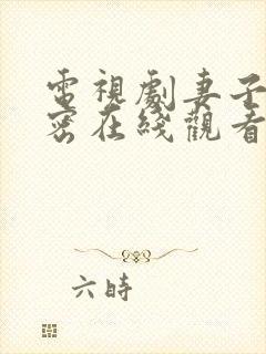 电视剧妻子的秘密在线观看