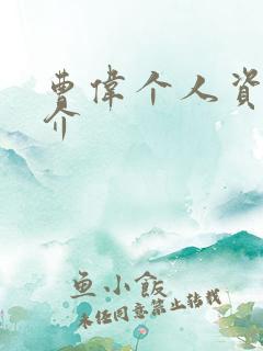 曹伟个人资料简介