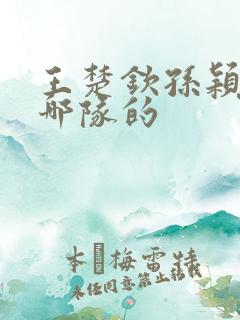 王楚钦孙颖莎是哪队的