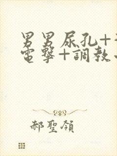 男男尿孔+灌+电击+调教小说