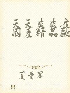 天天爽爽夜夜爽国产精品欧美极品