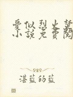 爱似烈火焚身 小说免费阅读