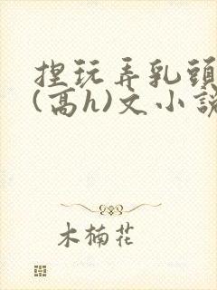 捏玩弄乳头奶头(高h)文小说