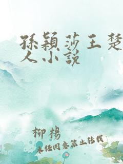 孙颖莎王楚钦同人小说