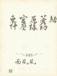 东宫原著结局是什么样的