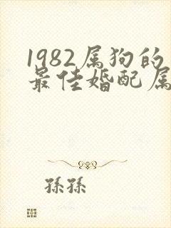 1982属狗的最佳婚配属相