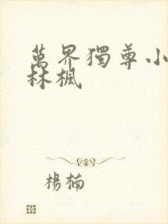 万界独尊小说 林枫