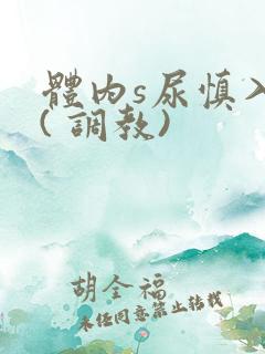 体内s尿慎入h( 调教)