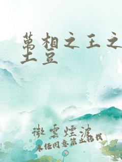 万相之王之天蚕土豆