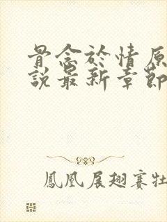 骨念于情原著小说最新章节更新时间