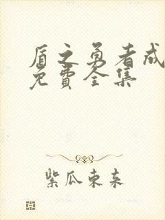 盾之勇者成名录免费全集