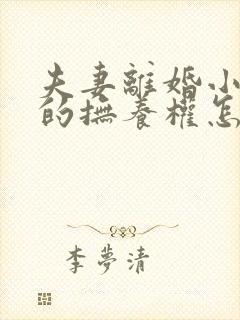 夫妻离婚小孩子的抚养权怎么判