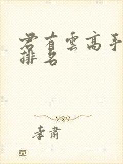 君有云高手实力排名