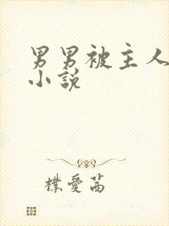 男男被主人调教小说