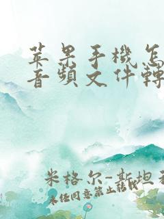 苹果手机怎么把音频文件转化成文字