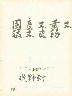 国产又黄又粗又猛又爽的