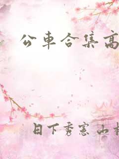 公车合集高h