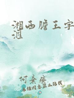 湘西胆王字谜总汇