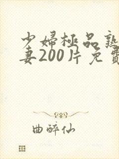 少妇极品熟妇人妻200片免费