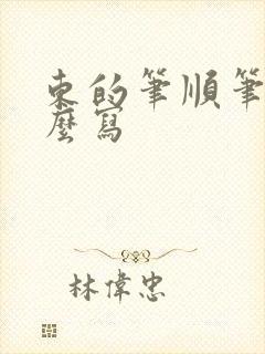 东的笔顺笔画怎么写