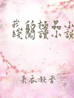 我的极品小姨在线阅读小说全集免费