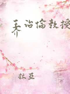 王治伦教授的简介