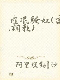 催眠骚奴(高h,调教)