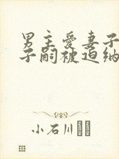 男主爱妻子为了子嗣被迫纳妾女主