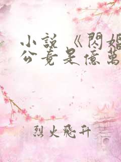 小说 《闪婚老公竟是亿万总裁》