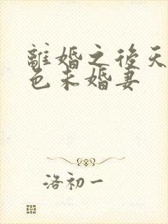 离婚之后天降绝色未婚妻