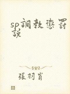 sp调教惩罚小说