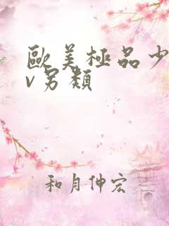 欧美极品少妇αv另类