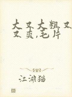 大又大粗又粗爽又爽,毛片