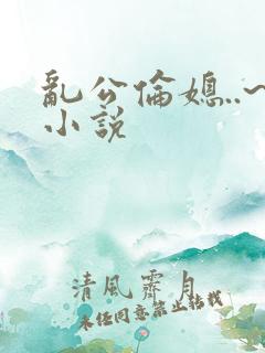 乱公伦媳..~小说