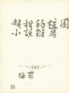 超甜的校园言情小说推荐