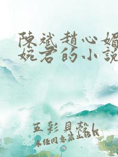 陈斌赵心媚和高婉君的小说