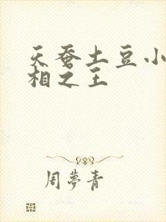 天蚕土豆小说万相之王