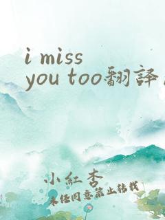 i miss you too翻译成中文