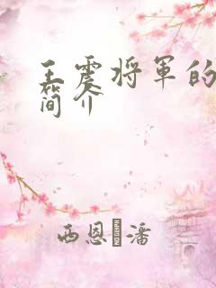 王震将军的人物简介