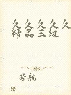 久久久久久国产精品三级