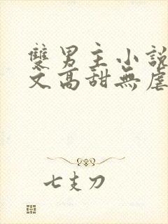 双男主小说甜宠文高甜无虐