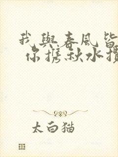 我与春风皆过客 你携秋水揽星河是谁写的