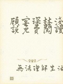 顾宴琛林浅月小说免费阅读最新章节