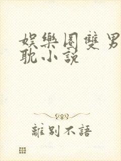 娱乐圈双男主原耽小说