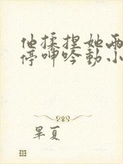 他揉捏她两乳不停呻吟动小说