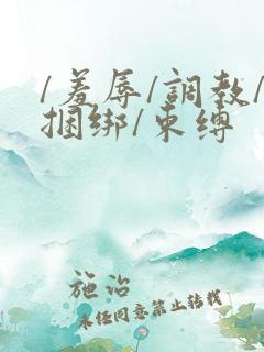 /羞辱/调教/捆绑/束缚