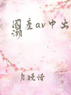 国产av中出高潮