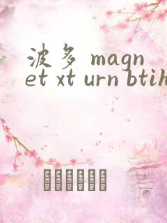 波多 magnet xt urn btih